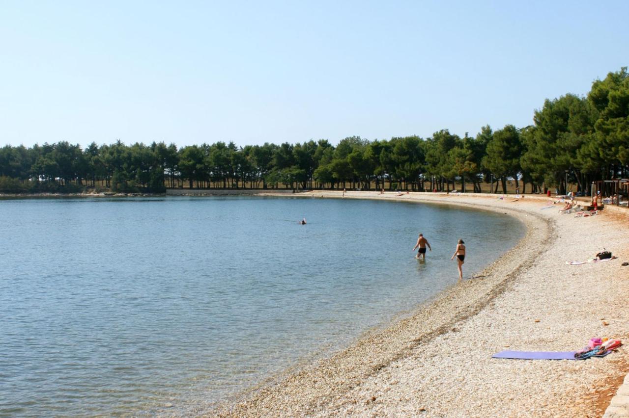 Apartments With A Swimming Pool Novigrad - 7078 Esterno foto